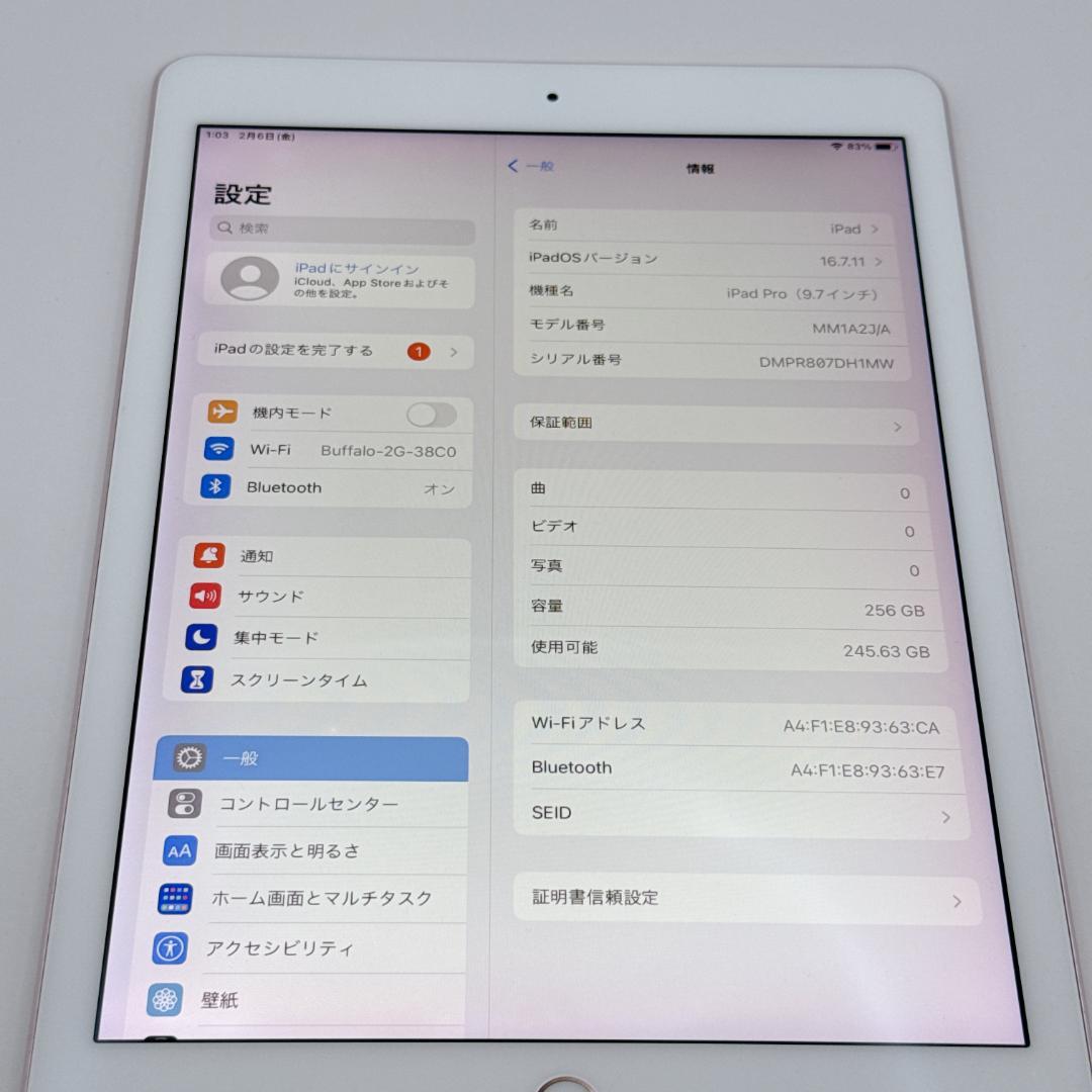 【美品】iPad Pro 9.7インチ 256GB MM1A23J/A