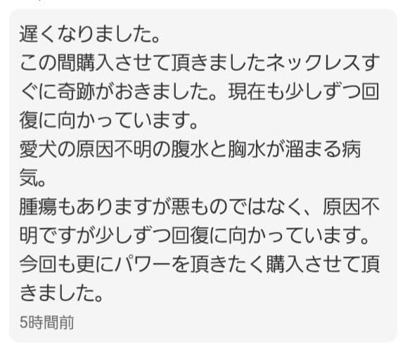 【1点物】ファウスト博士の精霊召喚魔術書 『身体守る、成功、不可視になる護符版』