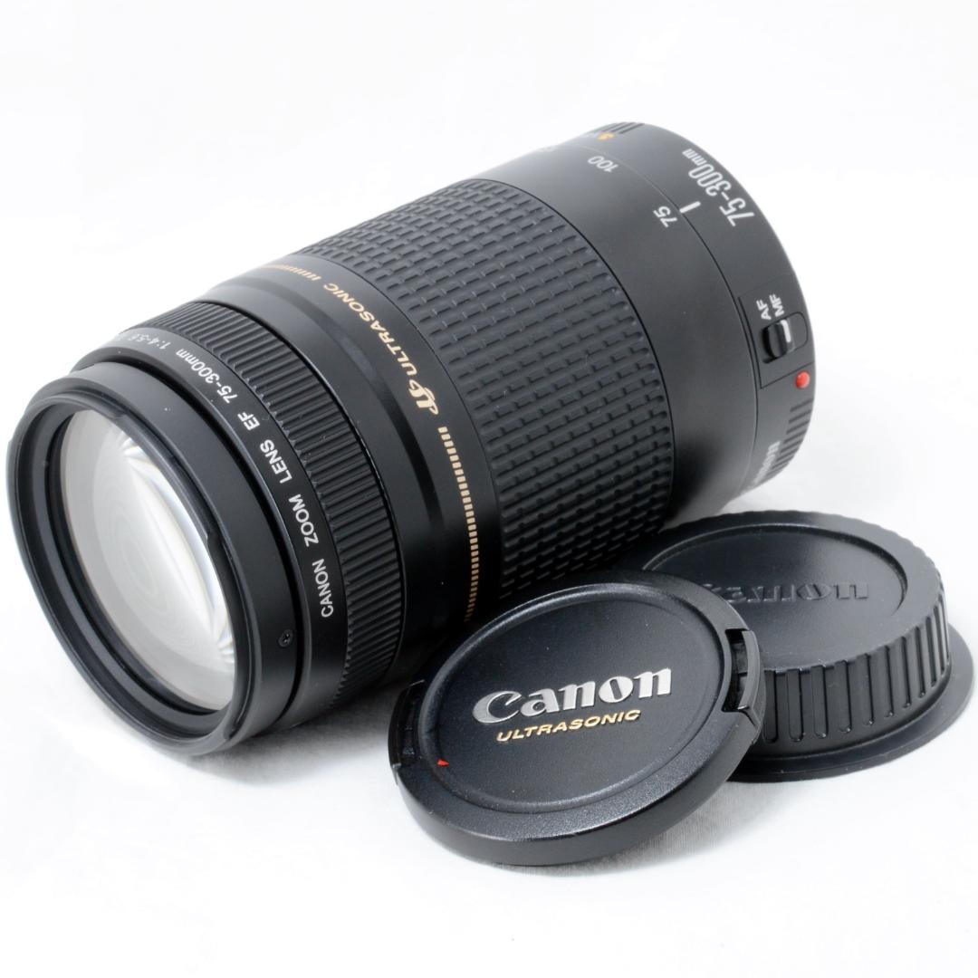 ⭐️美品⭐️Canon キャノン EF 75-300mm F4-5.6 ⅡUSM