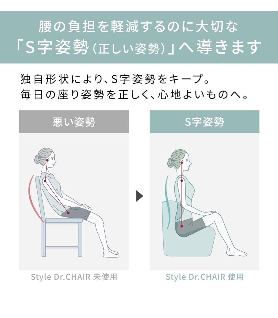 スタイルドクターチェア/Style Dr.CHAIRMTG 骨盤サポートチェア