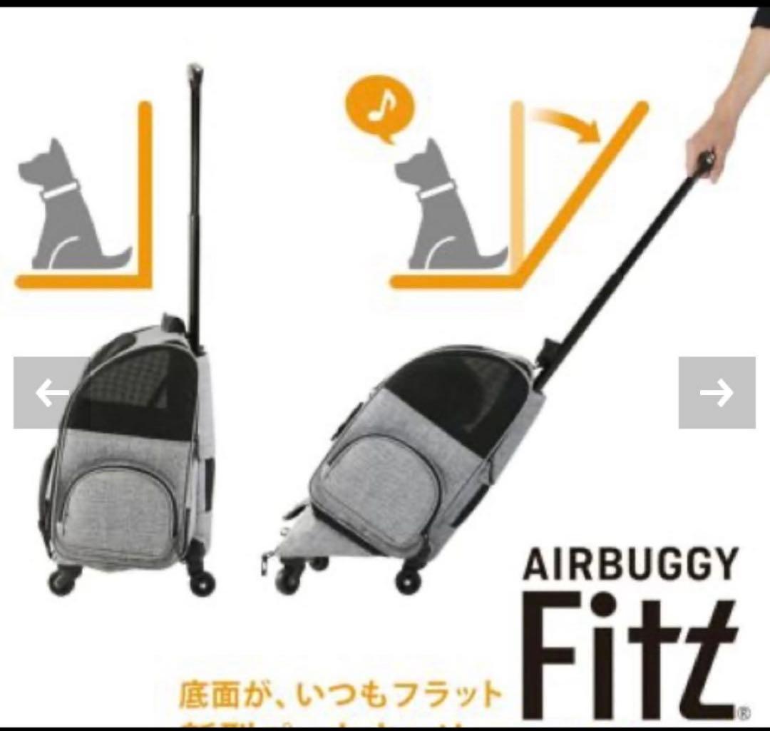 エアバギーフィット