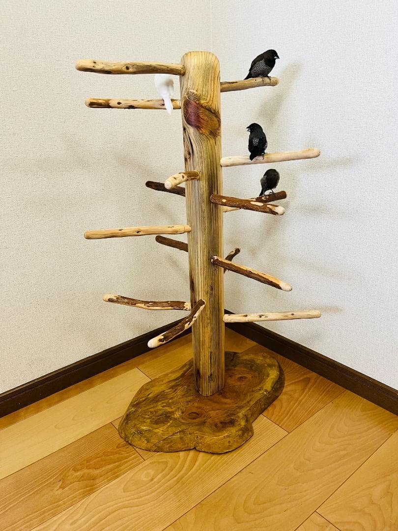 【中型鳥用】螺旋状♪ビビリさんにもすぃすぃ登れるバードスタンド