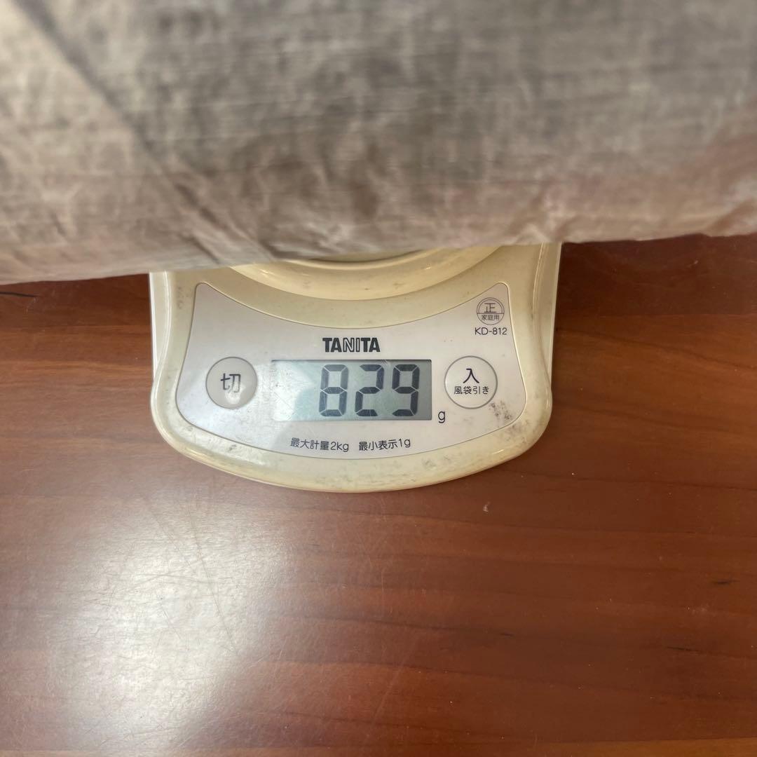 ハイパーライトマウンテンギア Echo II タープ インサート ULテント