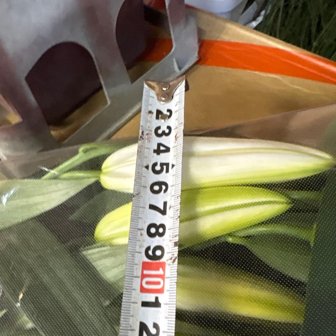 プチプラピアスイヤリング 同梱アヌースカ10本 シベリア トルコ各10本