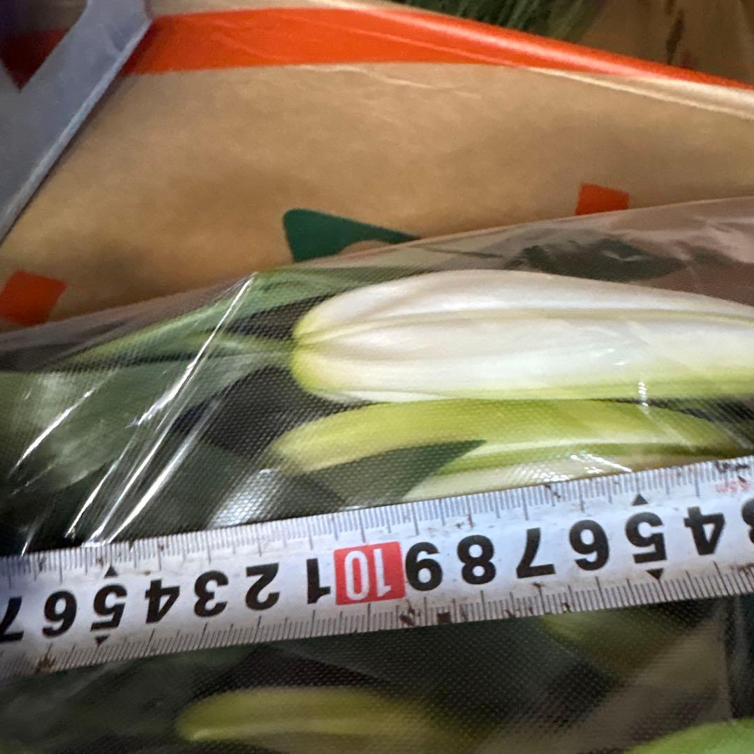 プチプラピアスイヤリング 同梱アヌースカ10本 シベリア トルコ各10本