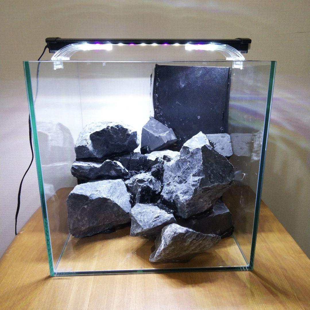 アクアテラリウム製作キット　イモリウム