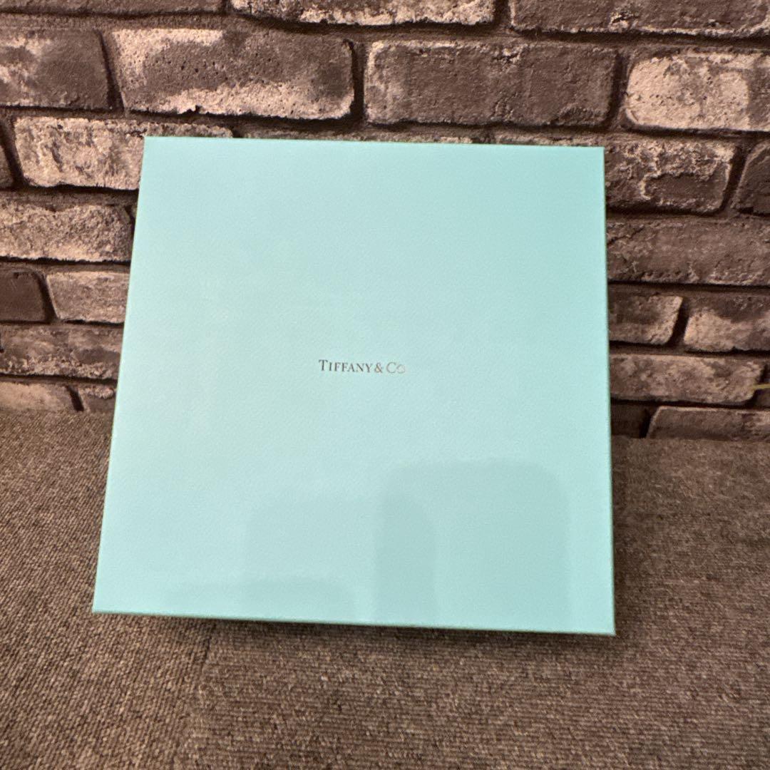 ティファニー ヴィドポシェ 限定品