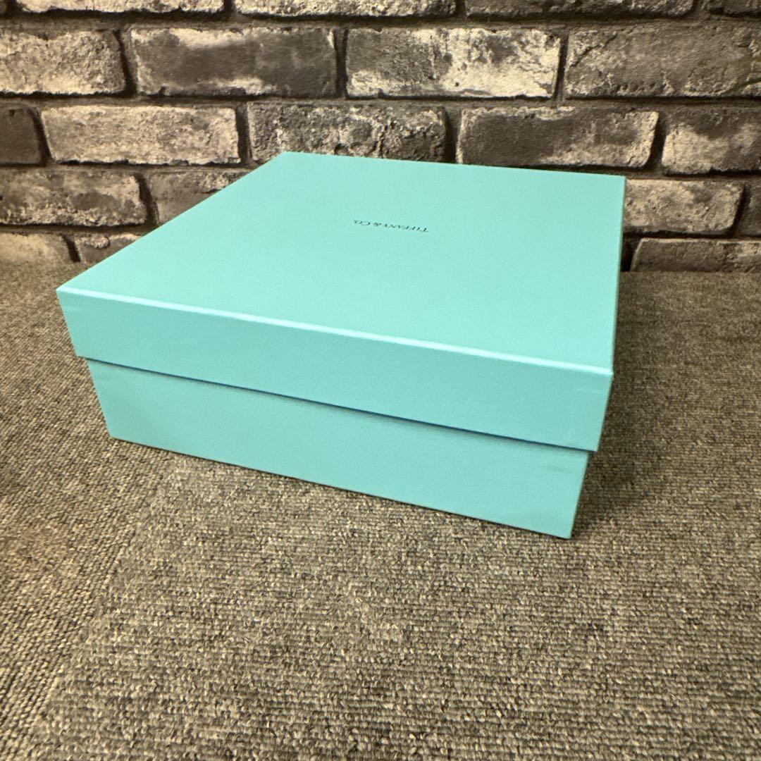 ティファニー ヴィドポシェ 限定品