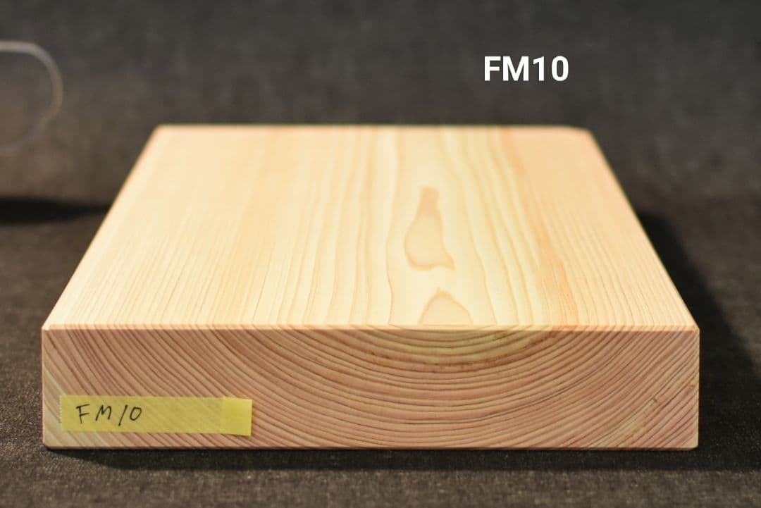 専用！ 他の方は購入しないでください！FM10とFL19！