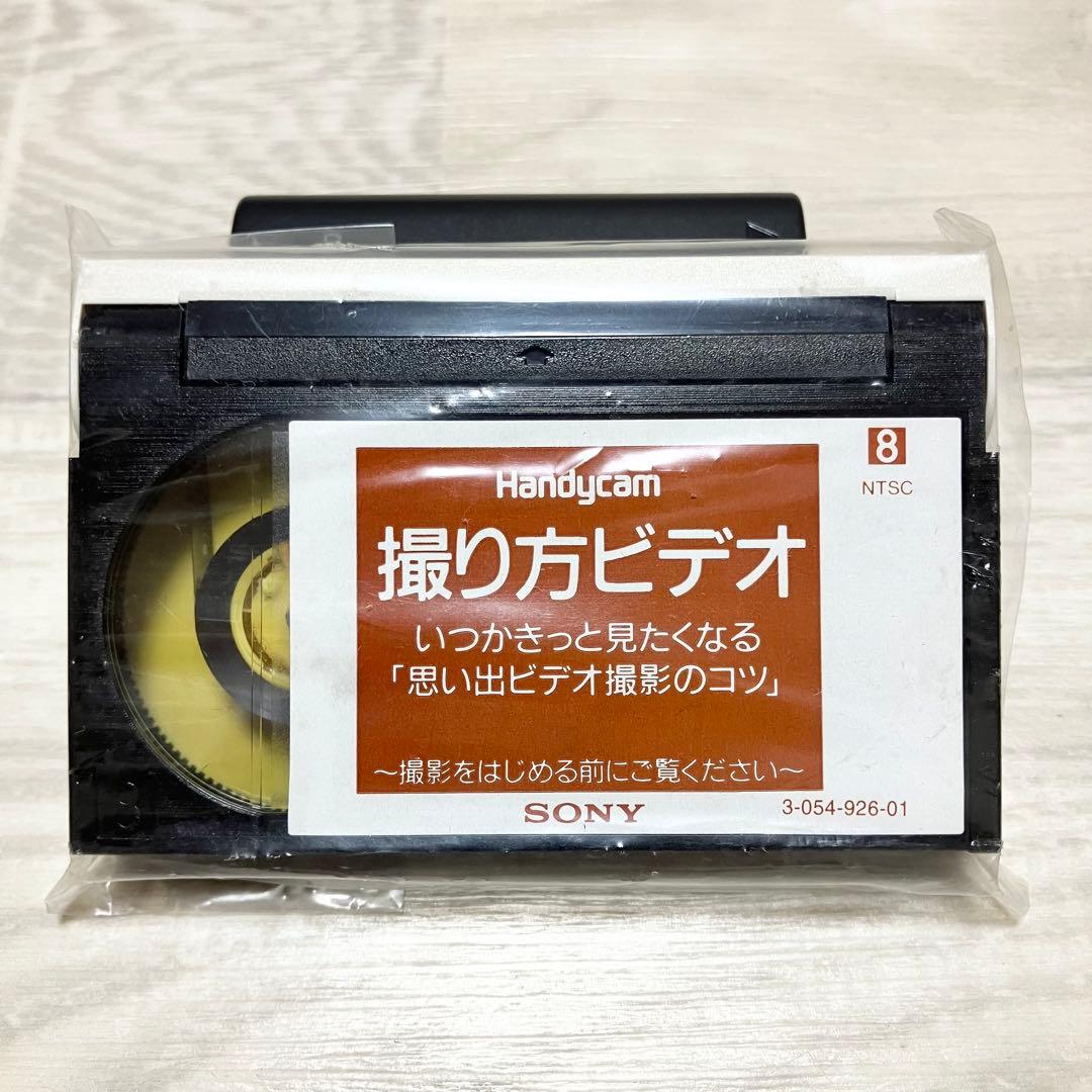 極美品　ソニー　ハンディーカム　DCR-TRV310 8mm ダビング等　動作品
