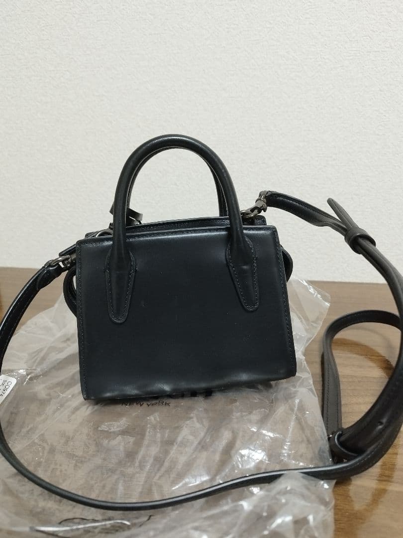 COACH アンドレアミニキャリーオール