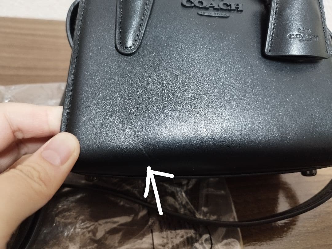 COACH アンドレアミニキャリーオール