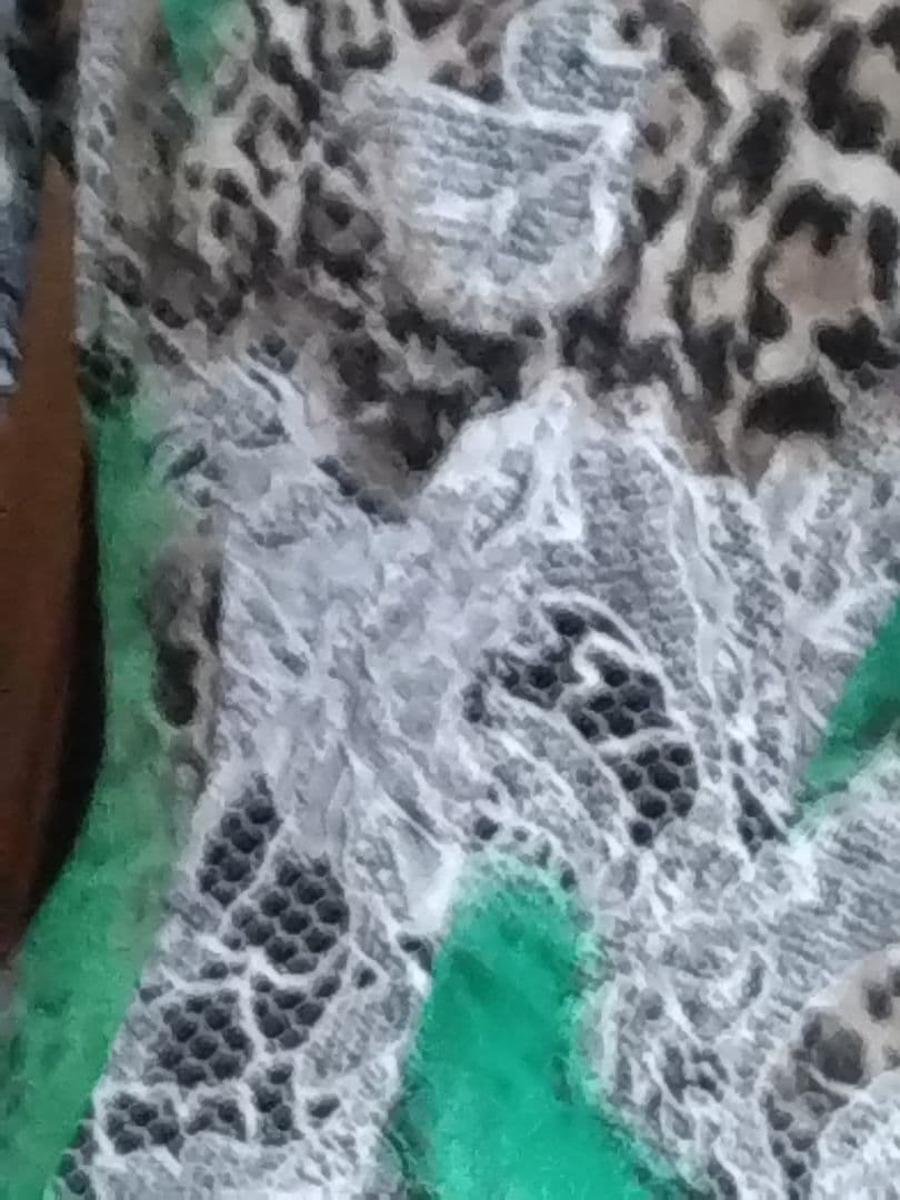 社交ダンス用ドレス 緑と黒のレオパード柄、グリーンのラインストーンが素敵なドレス