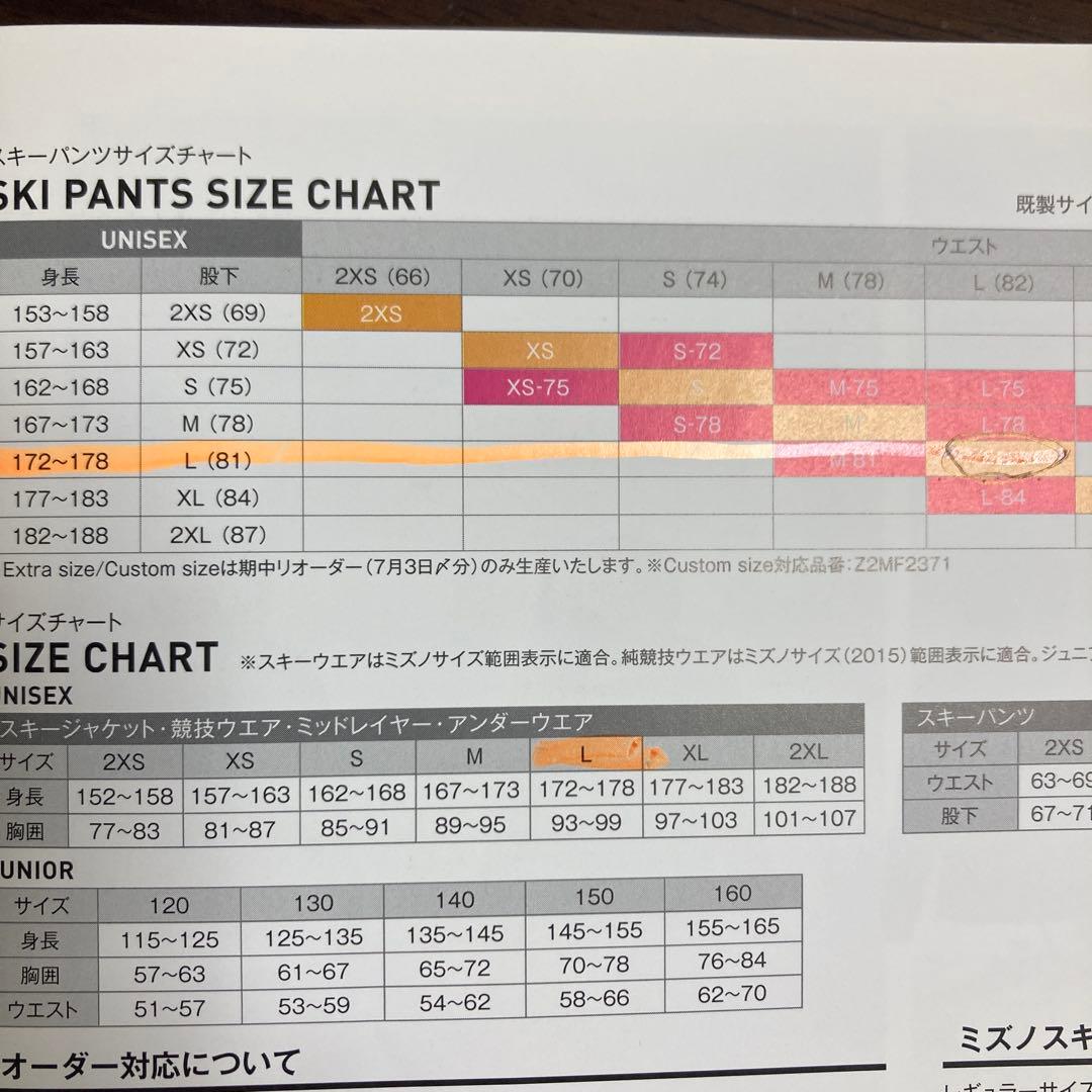 MIZUNO ミズノ スキーウエア Lサイズ2022-23