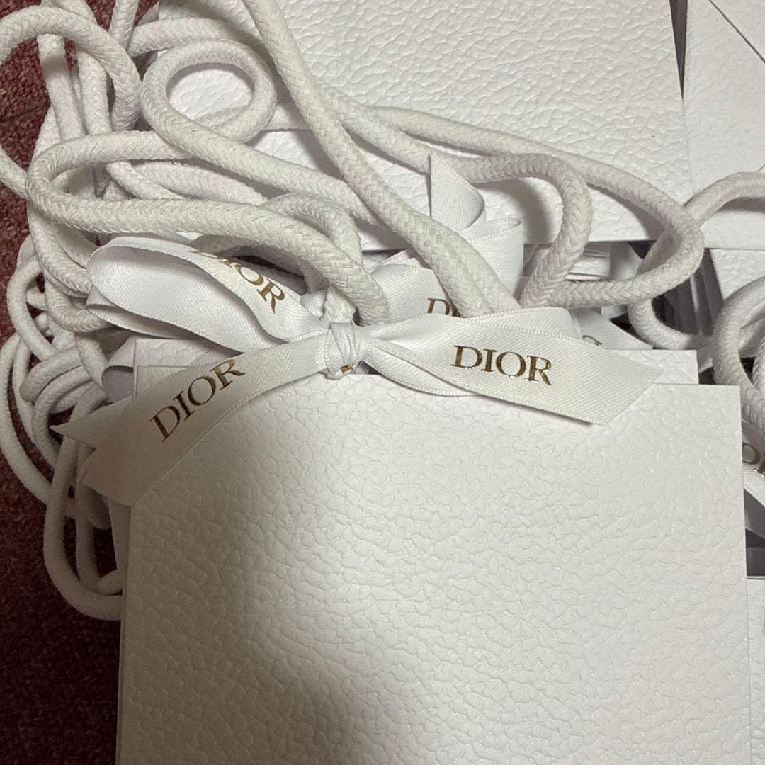 国内正規品　ディオール ショッパー　リボン付き　紙袋　100枚