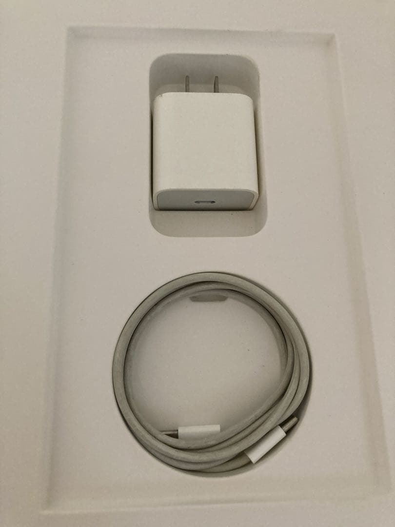 iPad Air 10.9インチ 第4世代 256GB＋アップルペンシル