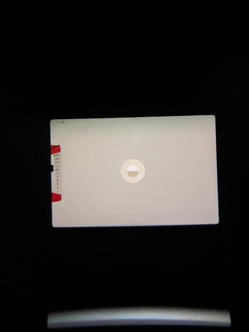 超美品 NIKON ニコン EM フィルムカメラ　モルト新品交換済 B750