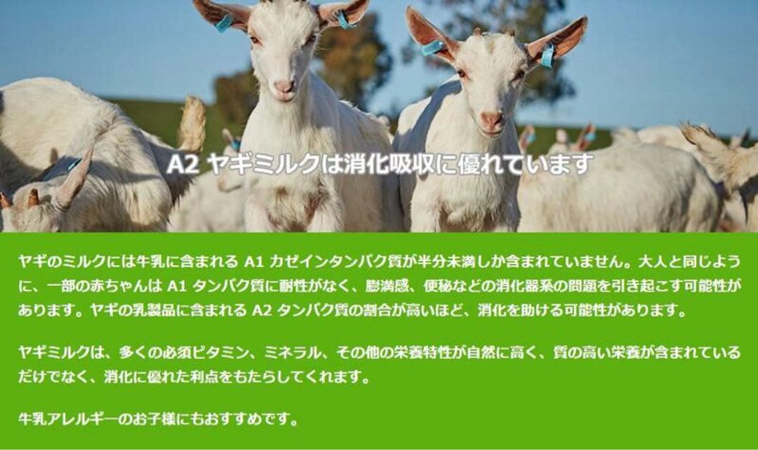 Bubs A2 ヤギミルク粉ミルク ステップ2（6〜12カ月）800g × 2缶