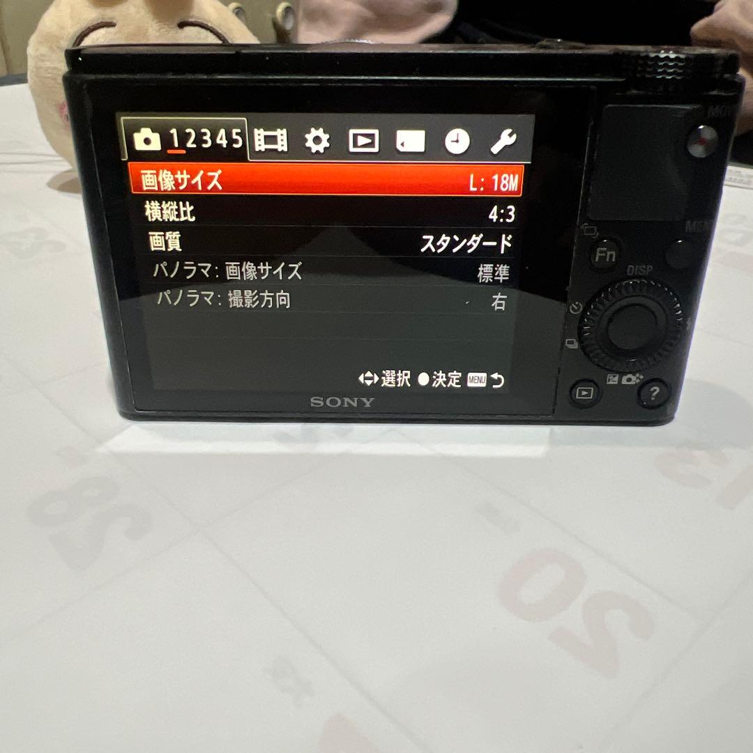 ソニーDSC-RX100
