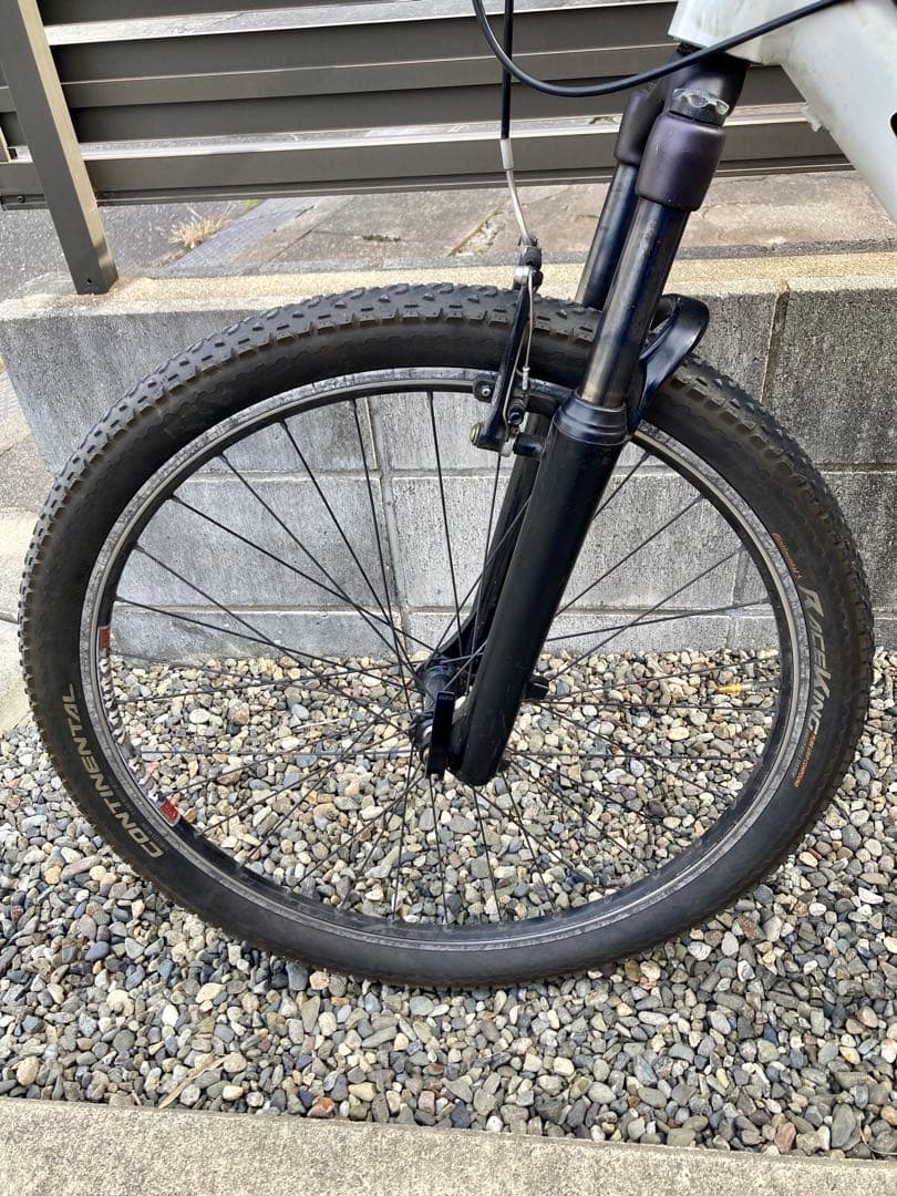 レアUSA製　キャノンデール　F300 Mサイズ　bluelug ブルーラグ