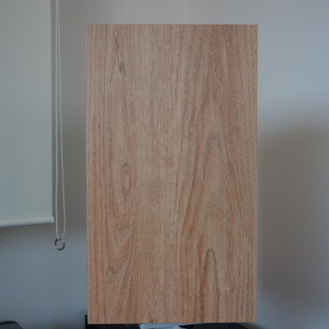 ★☆彡 FOCAL CHORA 806 ライトウッド　ペア　フランス製