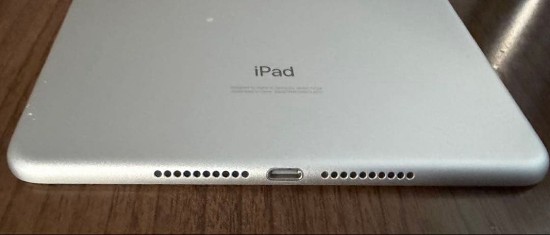 最終値下iPadmini 7.9インチ 第5世代 256GB セルラー シルバー