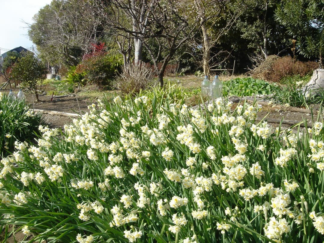 実写美⭕️良品【動作確認済】SONY Cyber-shot DSC-T1