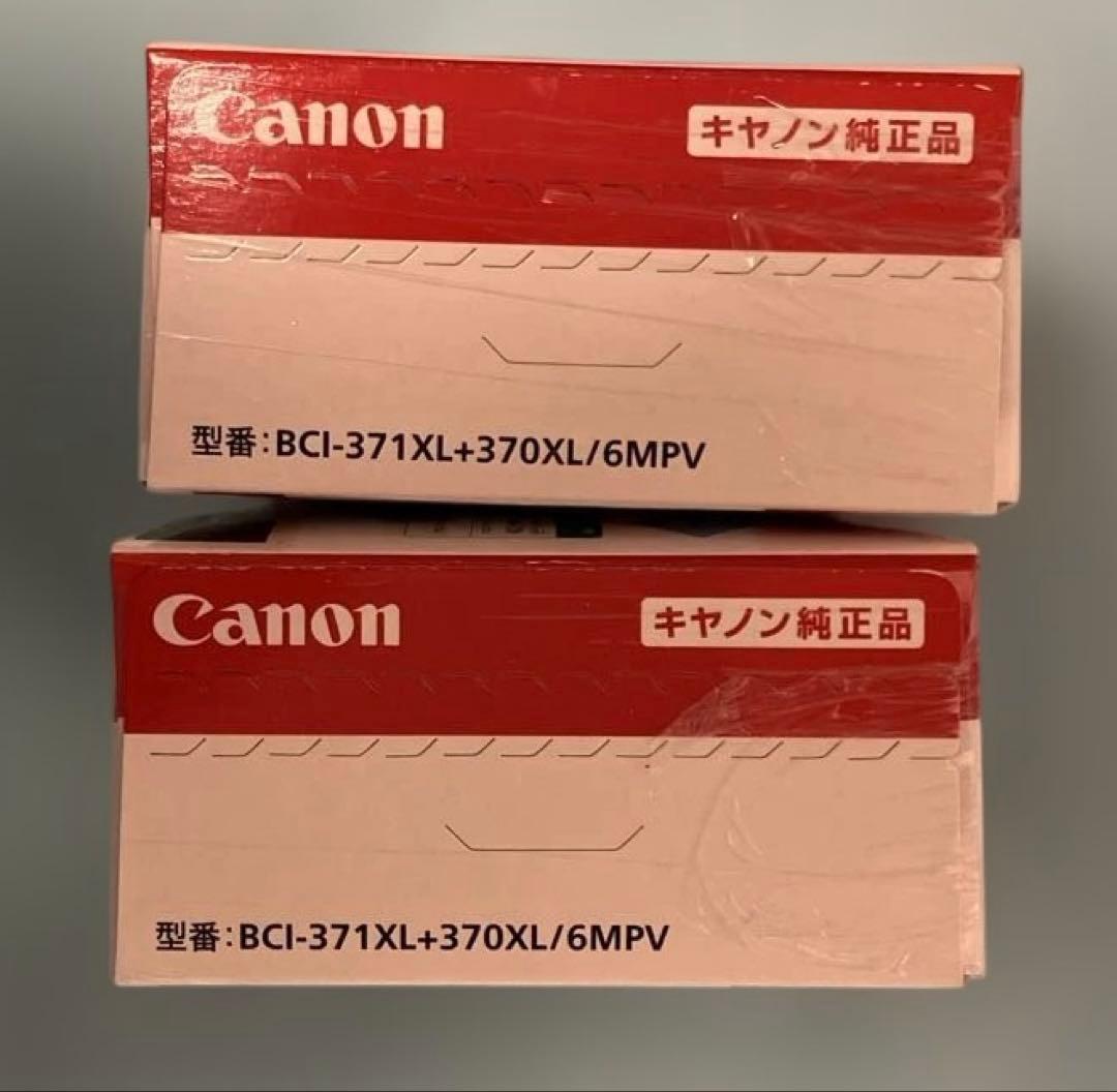 Canon 純正インクカートリッジ色マルチパック 大容量タイプ　2個セット