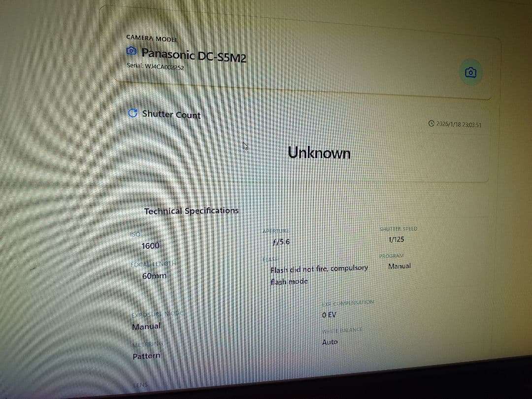 S5II ダブルレンズキット　dcs5m2w
