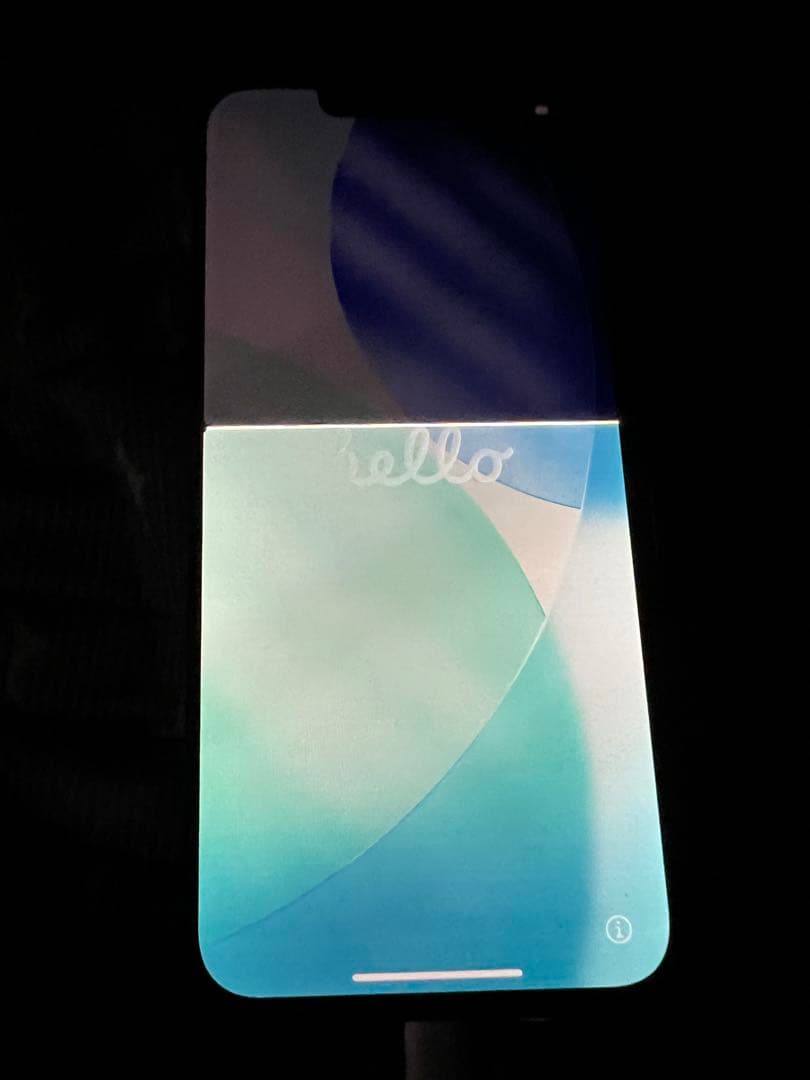 iPhone 13 Pro 256G本体画面不良