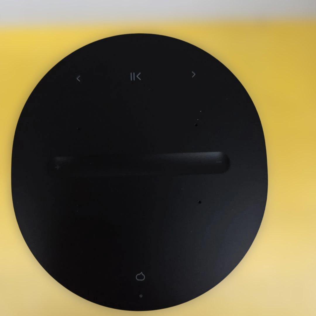 Sonos Era 100 スマートスピーカー