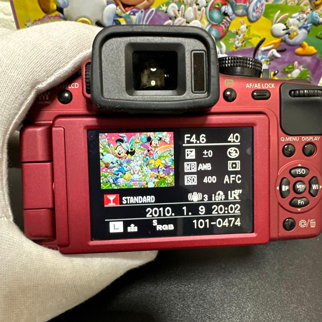 Panasonic LUMIX DMC-G2 レンズセット　動作確認済