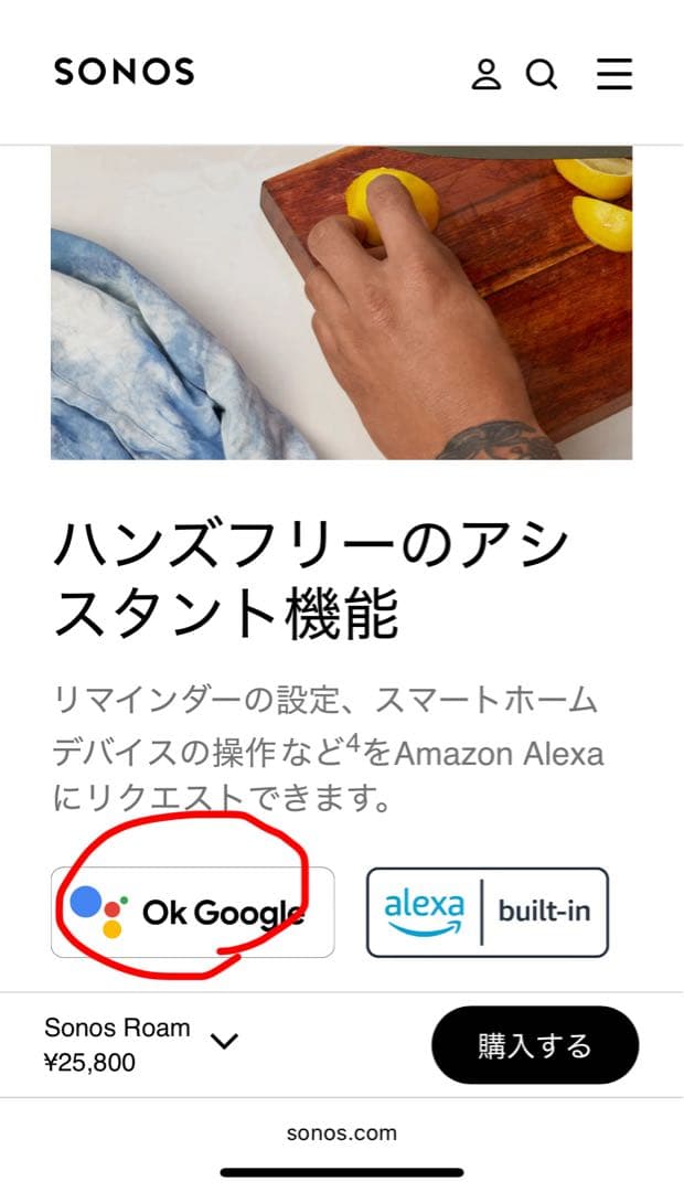 Sonos Roam 初代 Googleアシスタント対応 ペア 充電器付き
