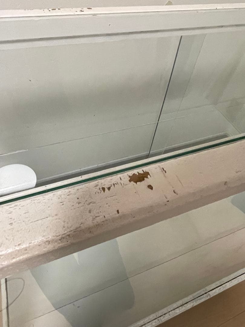 ビンテージ　ショーケース　ガラス　木製　アンティーク　棚　ヴィンテージ