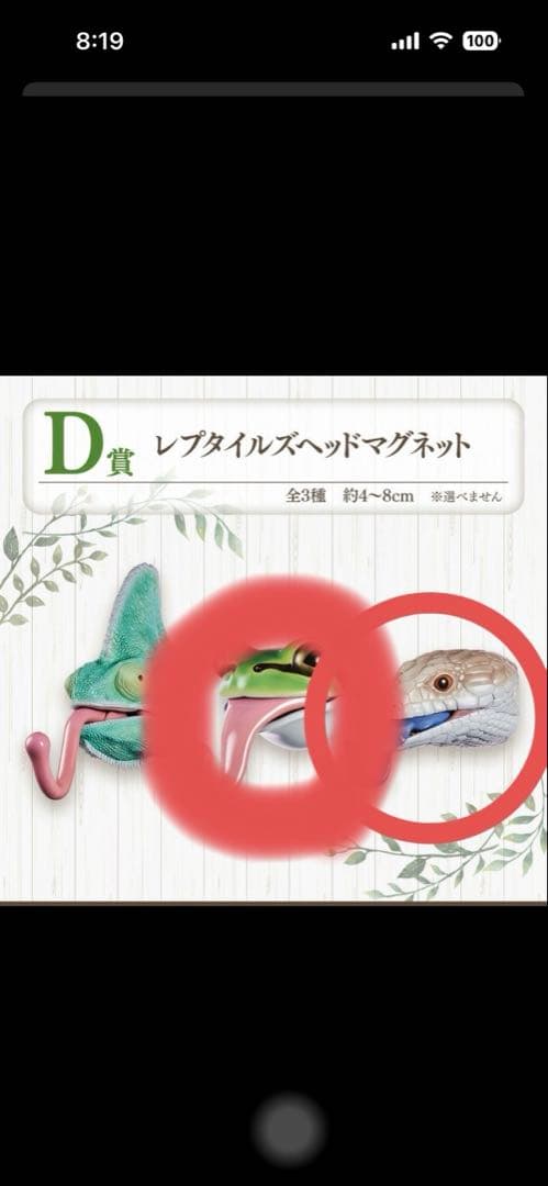 爬虫類　一番くじ　ラストワン　B賞　C賞