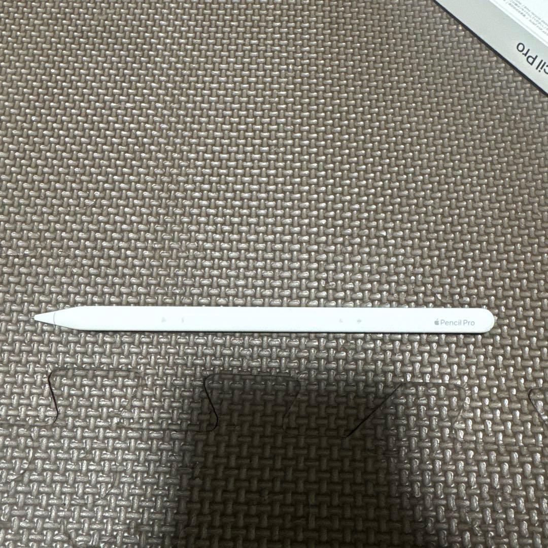 Probbbboy are you様iPad Pro 13インチM4 256GB