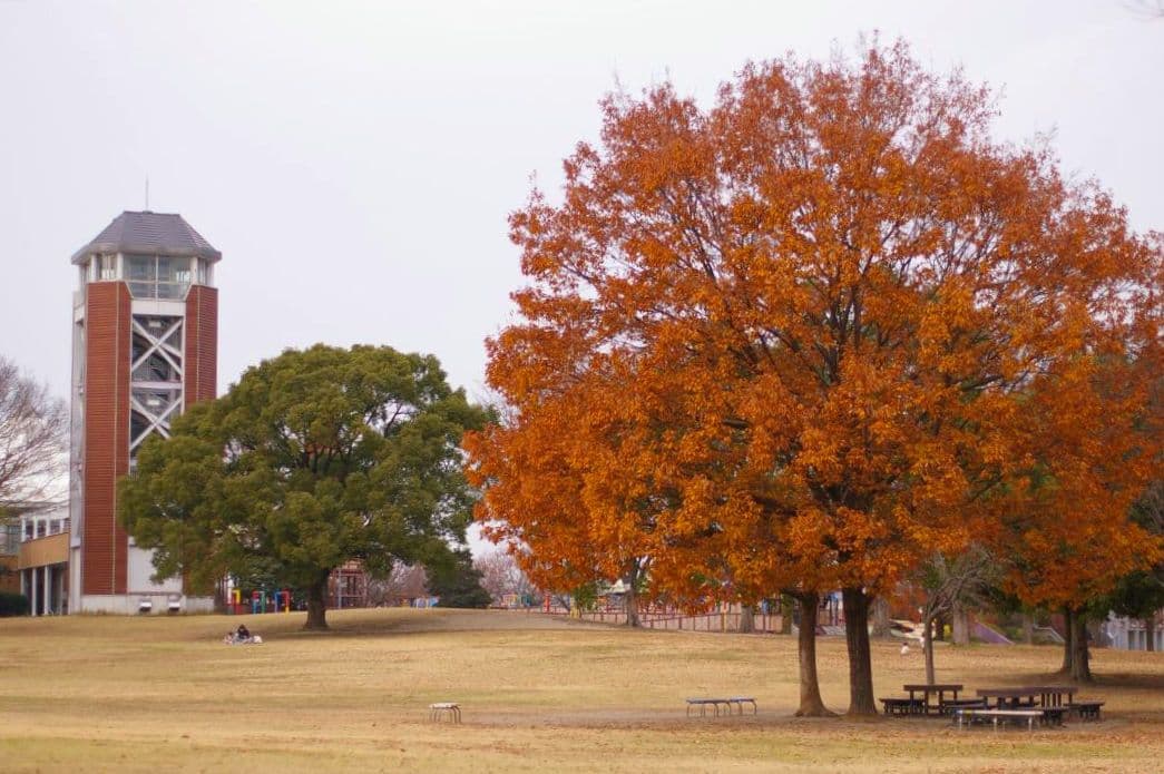 レンズ(単焦点) PENTAX-FA 50mmF1.4