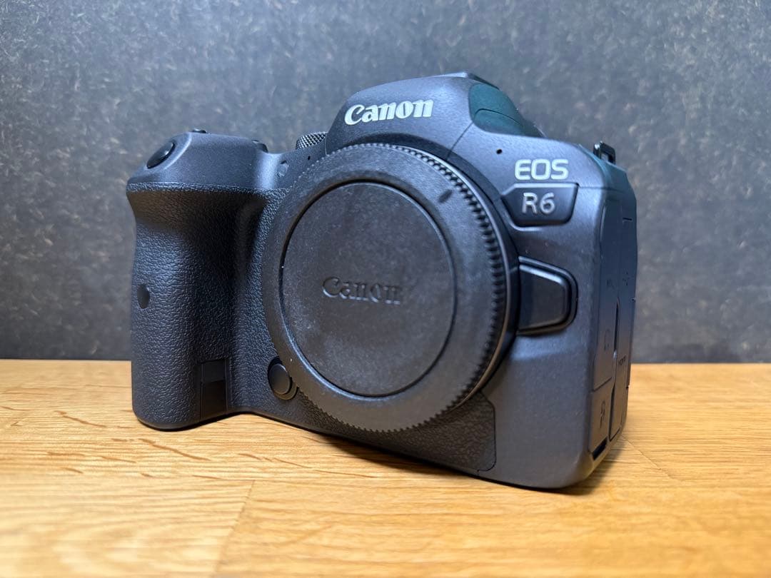 EOS R6レンズキット / RF24-105mm F4-7.1 IS STM