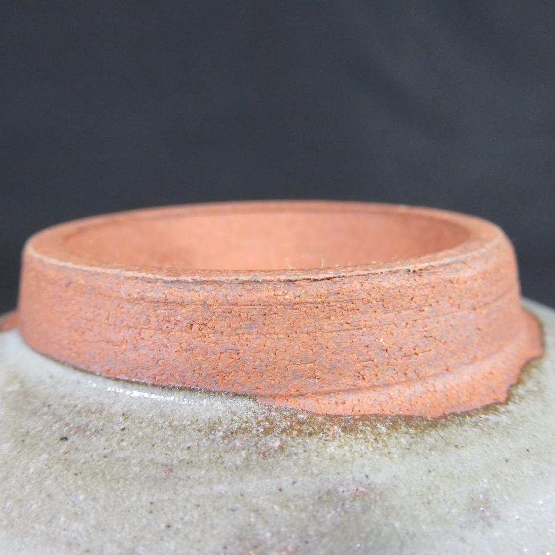 茶碗 梅 筒茶碗 三浦竹軒 木箱 共箱 抹茶碗 茶器 茶道具 茶の湯