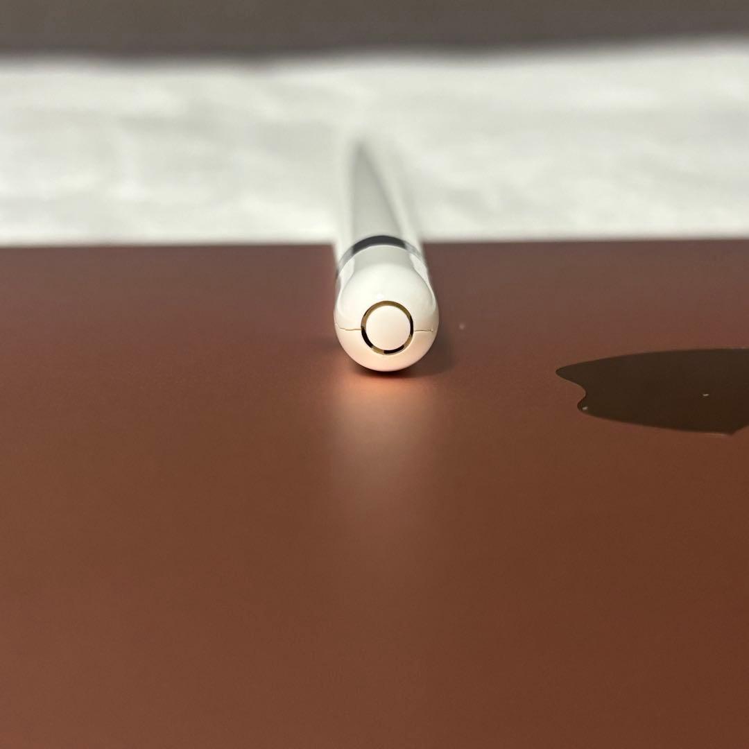 iPad Pro 10.5インチ(64GB、最大容量83%程度) セット