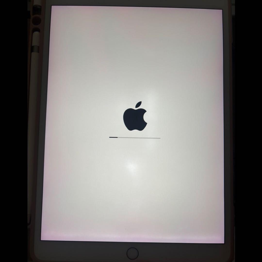 iPad Pro 10.5インチ(64GB、最大容量83%程度) セット