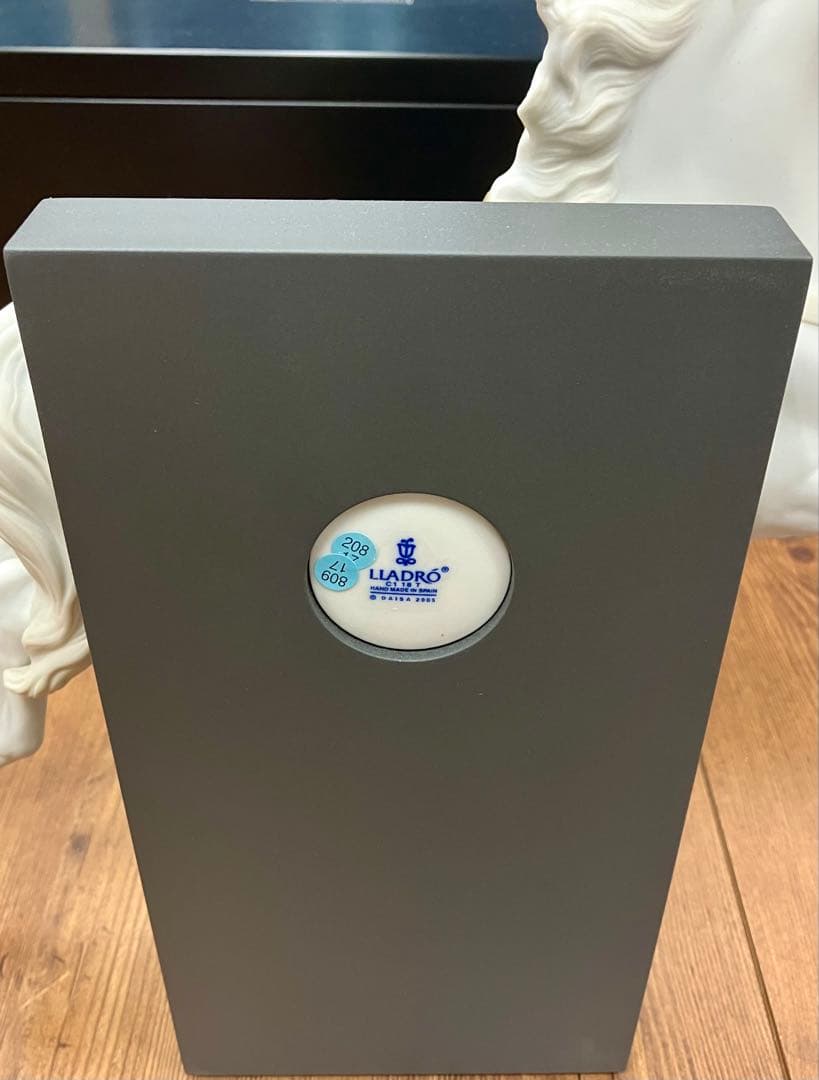 リヤドロ 挑戦 馬