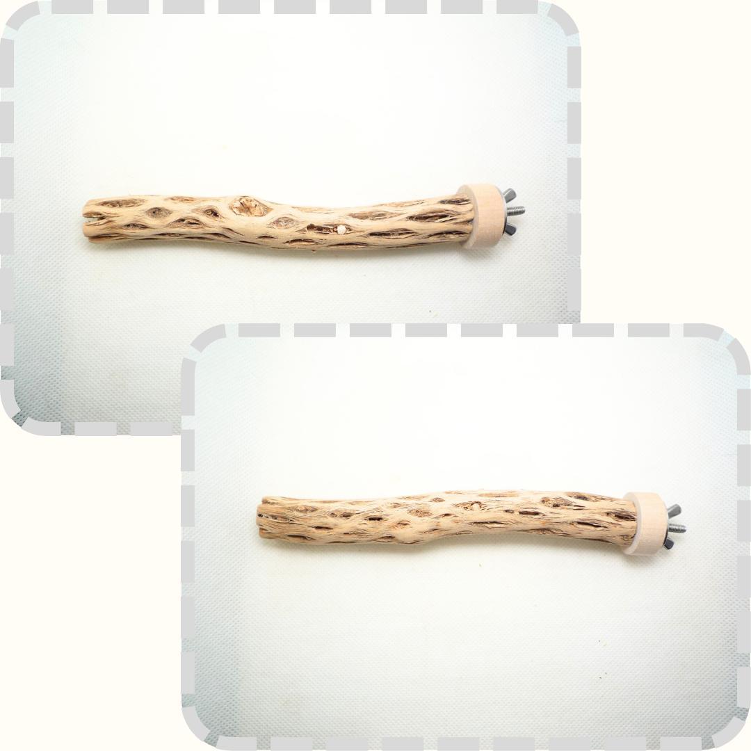 R@　おまとめ　カクタスパーチ　３本