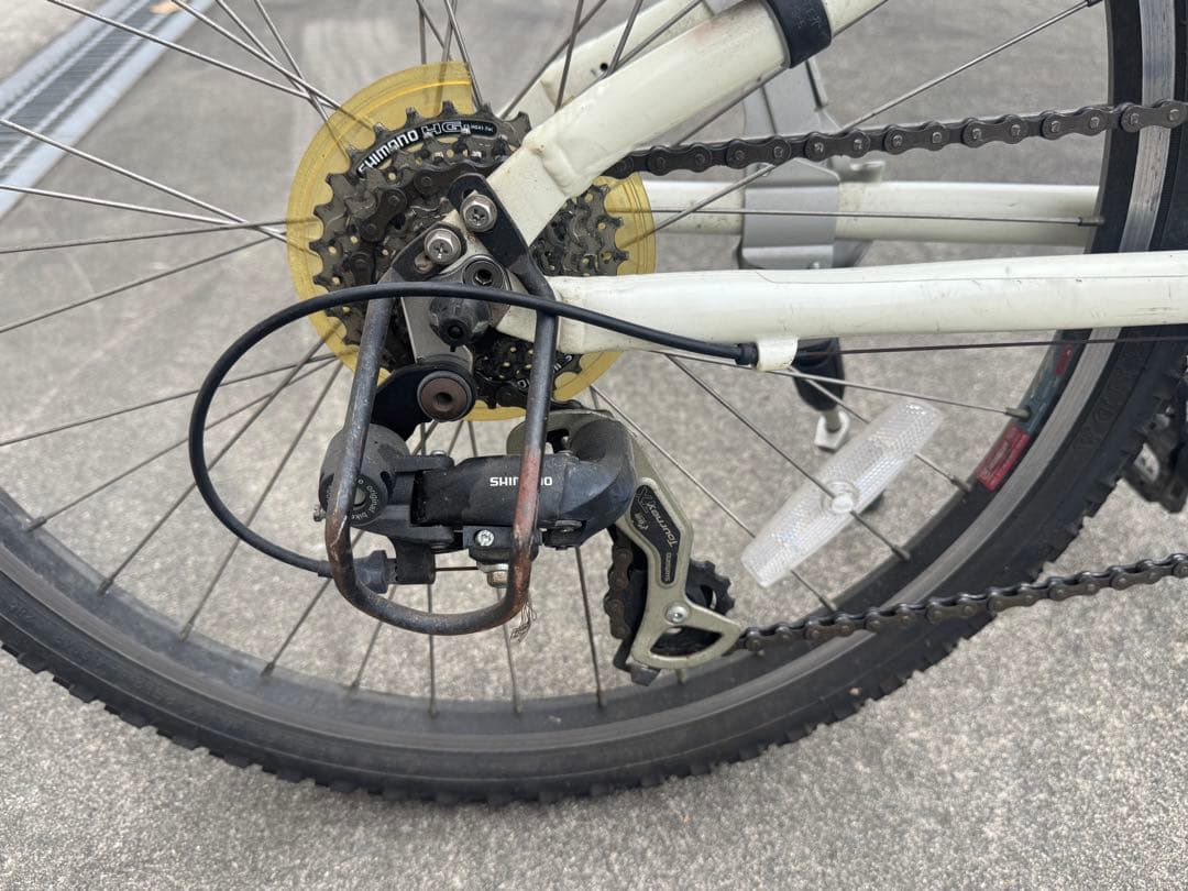 ルイガノ２４インチ（ヘルメット付き）