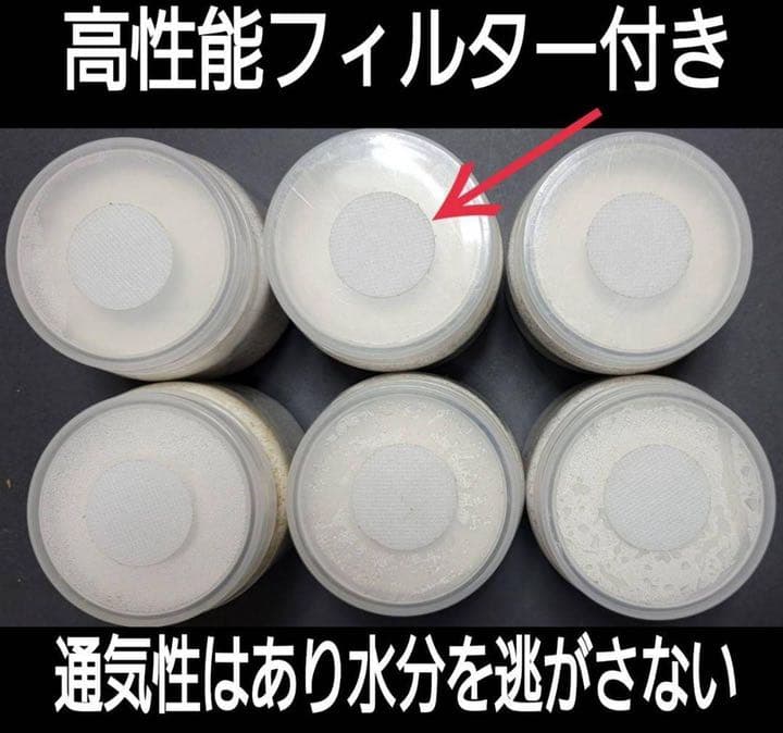 極上！黒アワビタケ菌糸瓶【12本】初令、2令に最適なサイズ！ニジイロクワガタに！