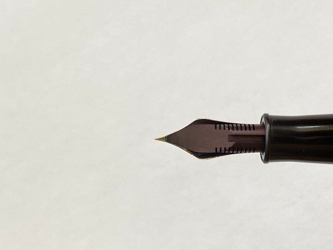 【廃番品】プラチナ万年筆　旧型ブライヤー#3776 14K 細字　コンバーター付