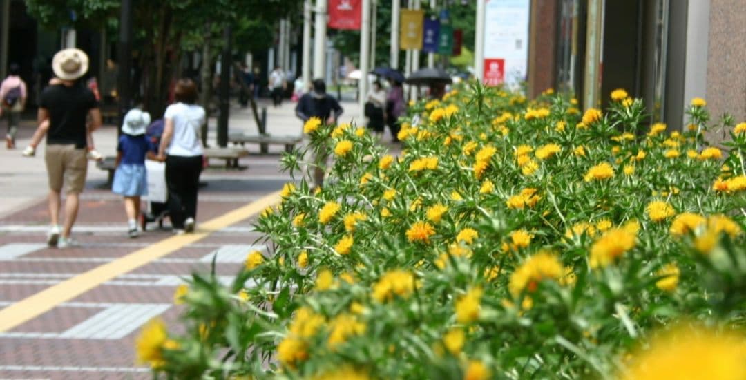 ♡様　　CANON　EOS　KissX　初心者デビュー　一眼レフ　キャノン