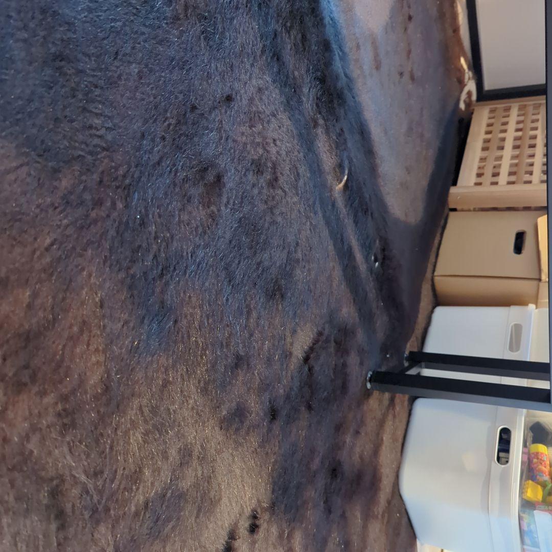 IKEA KOLDBY カウハイド