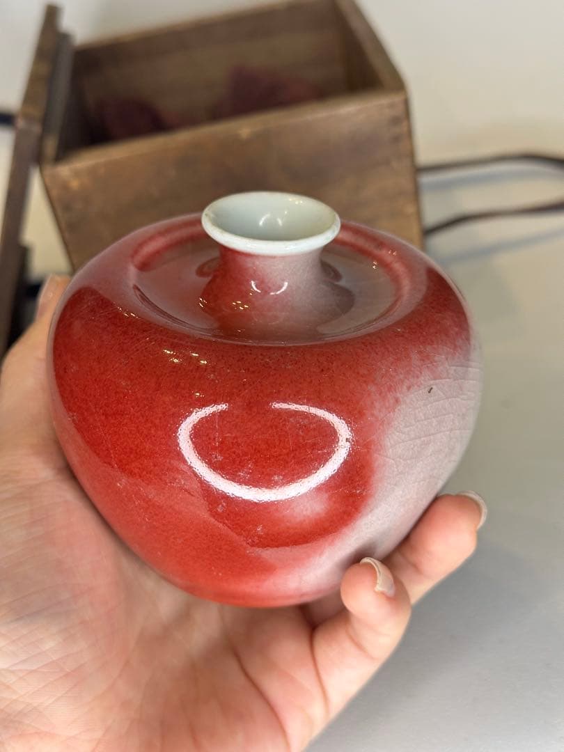 希少 清時代 大清康熙年製款 蘋果尊 朱釉 賞瓶 陶磁器 古美術 共箱 時代物