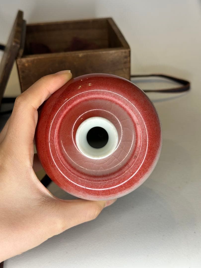 希少 清時代 大清康熙年製款 蘋果尊 朱釉 賞瓶 陶磁器 古美術 共箱 時代物